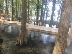 -东湖落雁景区