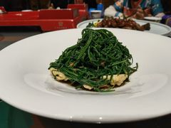 果仁爱沙葱-九十九顶毡房(阜石路店)