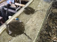 -罗源湾8号渔排