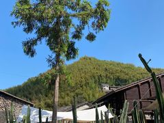 -MOJ coffee(瓯海泽雅水碓坑店)