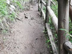 -王顺山国家森林公园