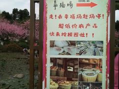 -秀丽东方
