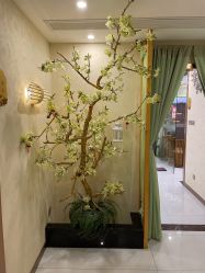 大堂-芳朵美容养生SPA