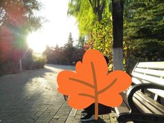 -大兴滨河森林公园