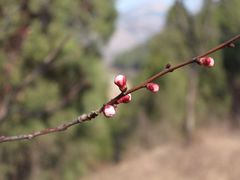-四门塔风景区