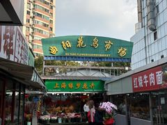 -曲阳花鸟市场(曲阳路店)