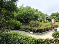 -圆通寺