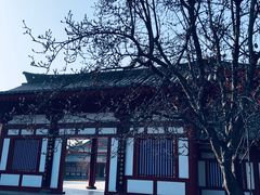 -大雁塔北广场音乐喷泉