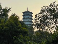 -深圳国际园林花卉博览园