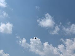 -丁香湖公园