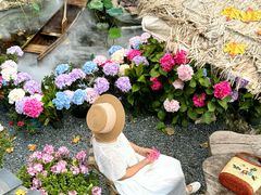 -伴山茶苑·围炉煮茶