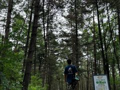 -帽儿山国家森林公园