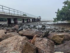 -宝安西湾红树林湿地公园