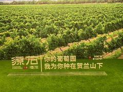 -源石酒庄