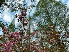 -宝岩生态观光园