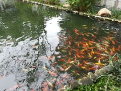 -天强农家菜馆
