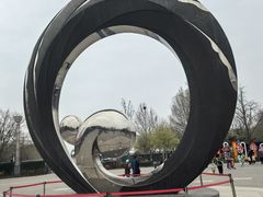 -大兴滨河森林公园