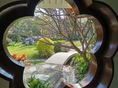 -深圳仙湖植物园