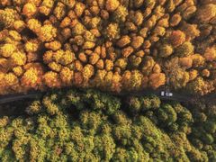 -山王坪喀斯特国家生态公园