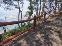 -铁山坪森林公园