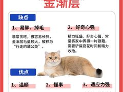 -Bastet sally猫舍购宠(静安店)