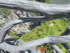 -重庆云阳龙缸景区