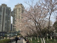 -西北湖绿化广场