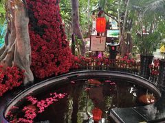 -东方华地城湿地温泉度假区