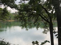 -红花湖景区