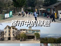 -紫金山天文台