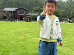 -合肥滨湖国家森林公园