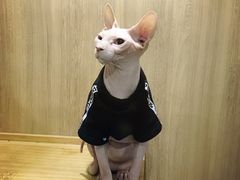 -藦茜花园宠物主题亲子互动体验馆(国顺东路店)