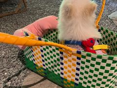 -J Create城市露营咖啡·简餐·宠物(上海动物园店)