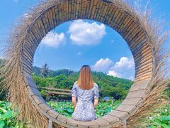 -红山村