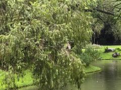 -人民公园(罗湖区)