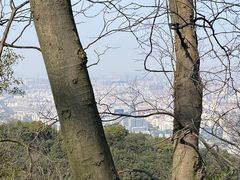 -灵顺寺