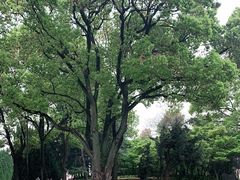 -上海市龙华烈士陵园