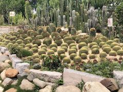 -胡里山炮台