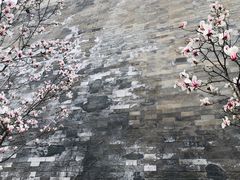 -东华门大街小区