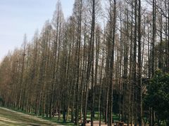 -南京金牛湖风景区