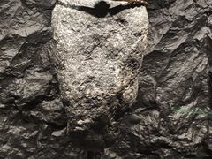 -中国美术学院-美术馆