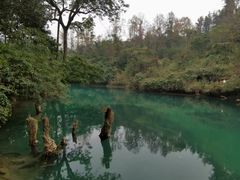-小七孔景区东门售票处