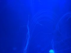 -临沂极地海洋王国