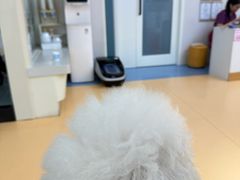 -全心全意动物诊疗中心医院(北苑店)