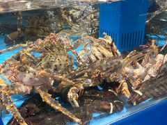 -麦德龙(浦东店)