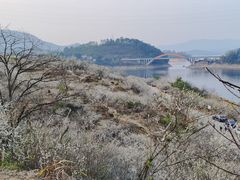 -广州市流溪河国家森林公园