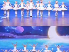 -星光舞蹈艺术中心•芭蕾舞•中国舞(太阳宫校区)