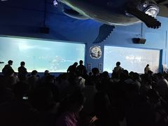-常州海昌海洋探索馆