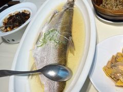 -席家花园(巨鹿花园店)