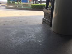 -西安阿房宫维景国际大酒店